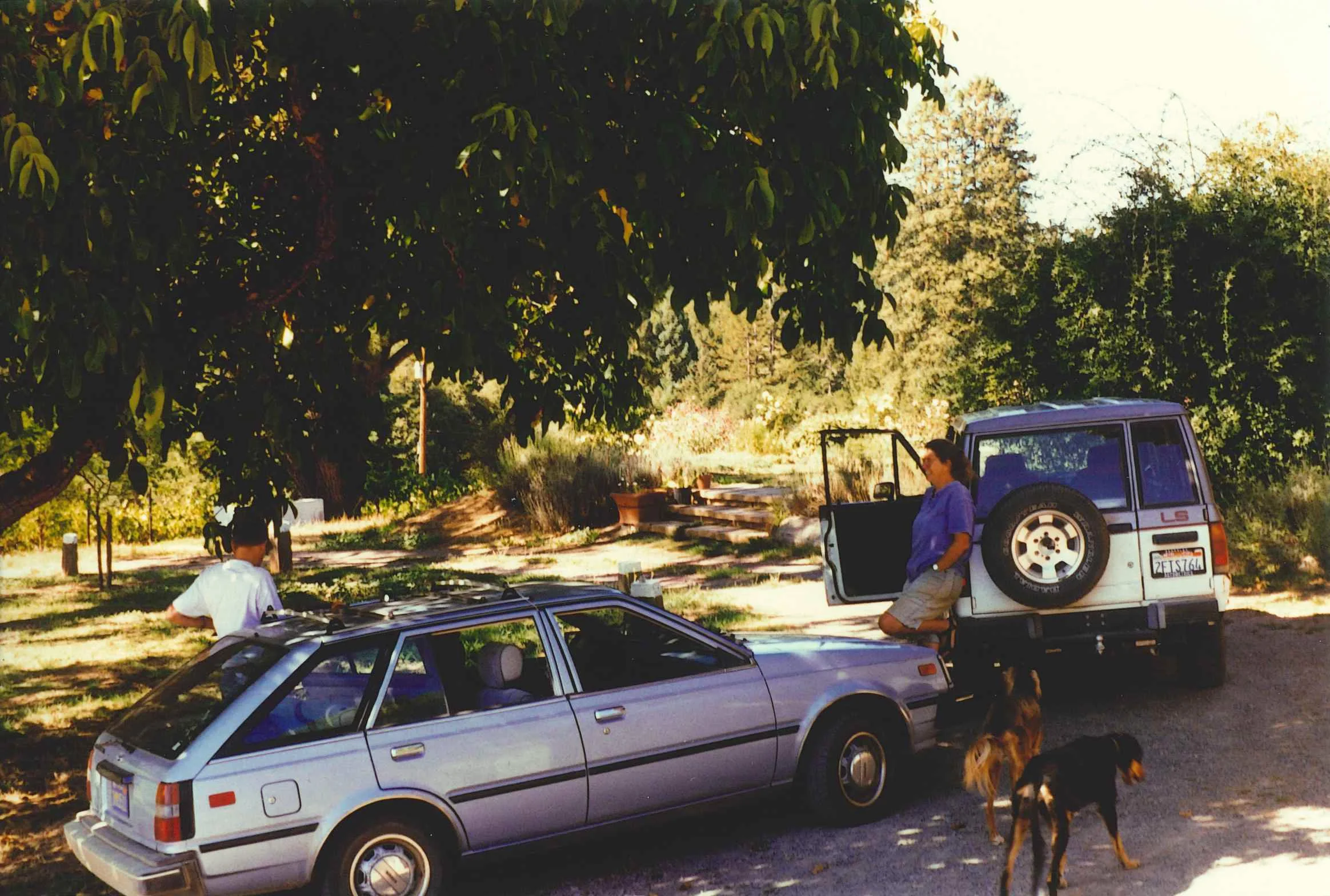 Early days of Littorai driving along the backroads of Sonoma County in the 1990s