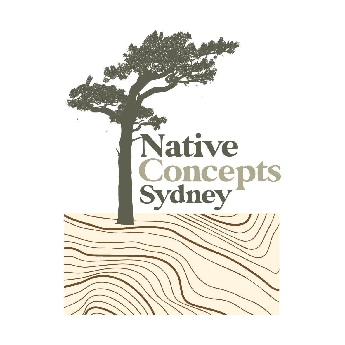 NATIVE CONCEPTS 2.jpg