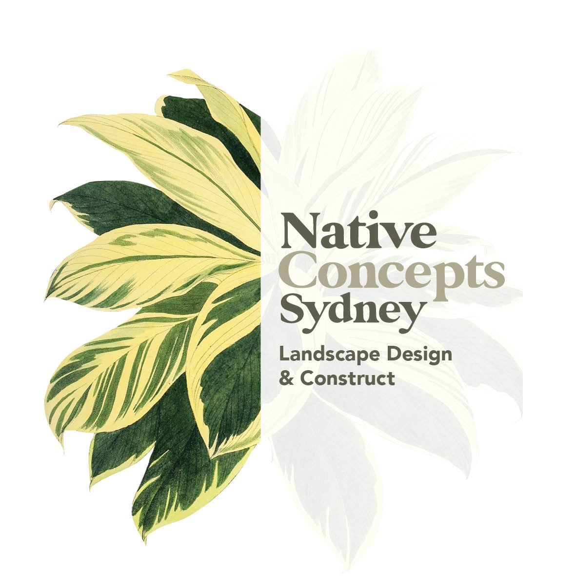 NATIVE CONCEPTS 1.jpg