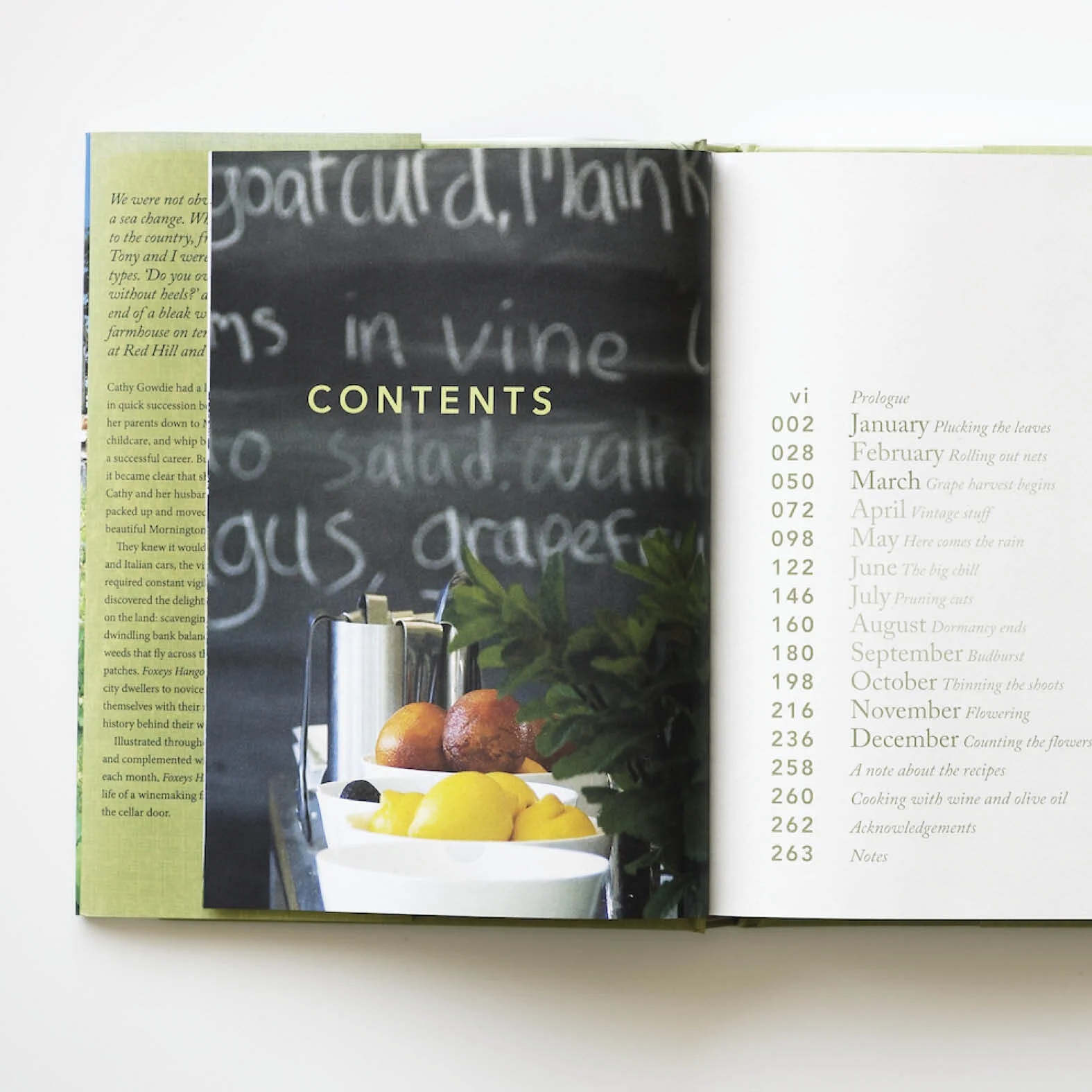 CONTENTS.jpg