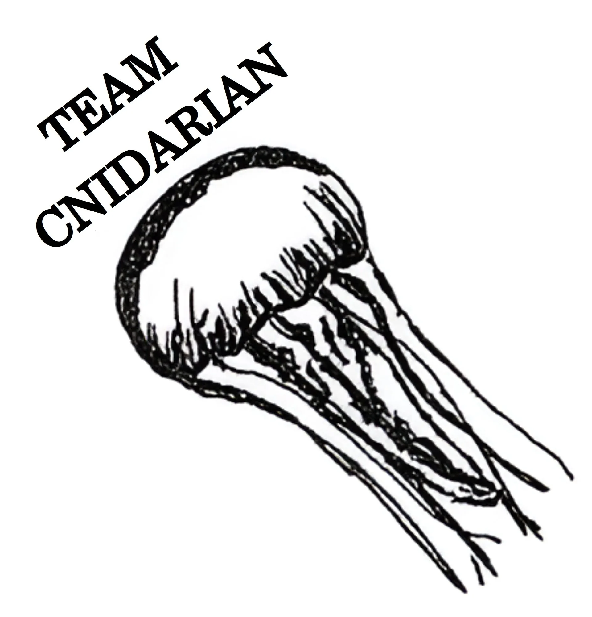 team_cnidarian (1).jpg