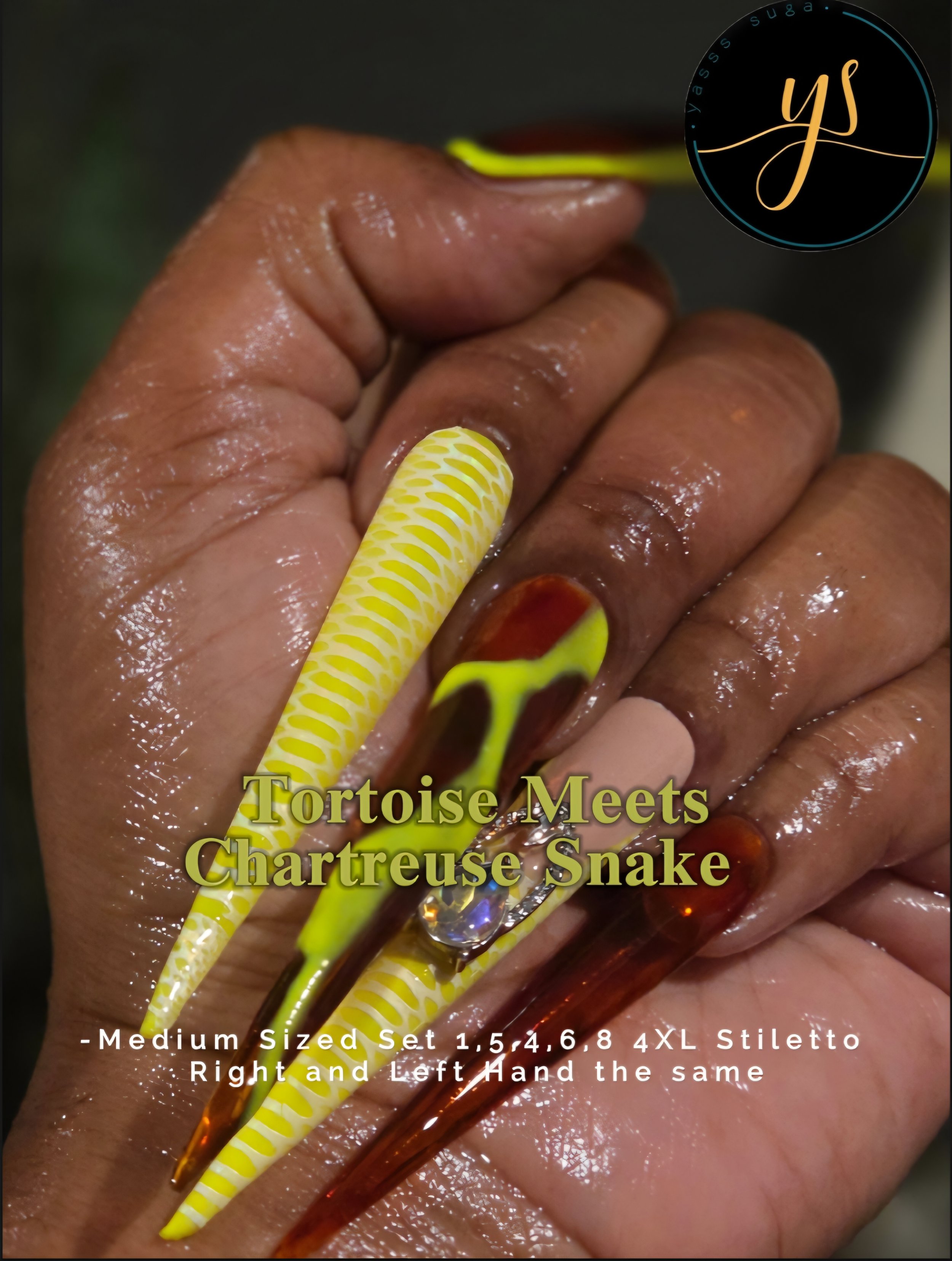 Tortoise Meets Chartreuse Snake (Medium Sized Nails 1,5,4,6,8) 4XL Stilettoes