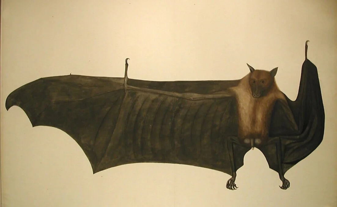 main-image.jpg