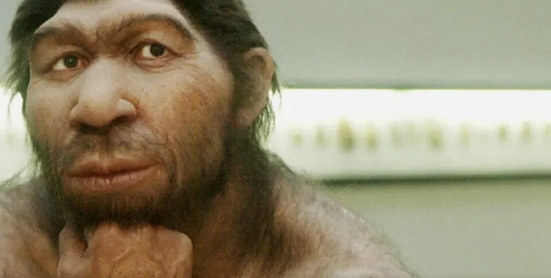 neanderthal.jpg