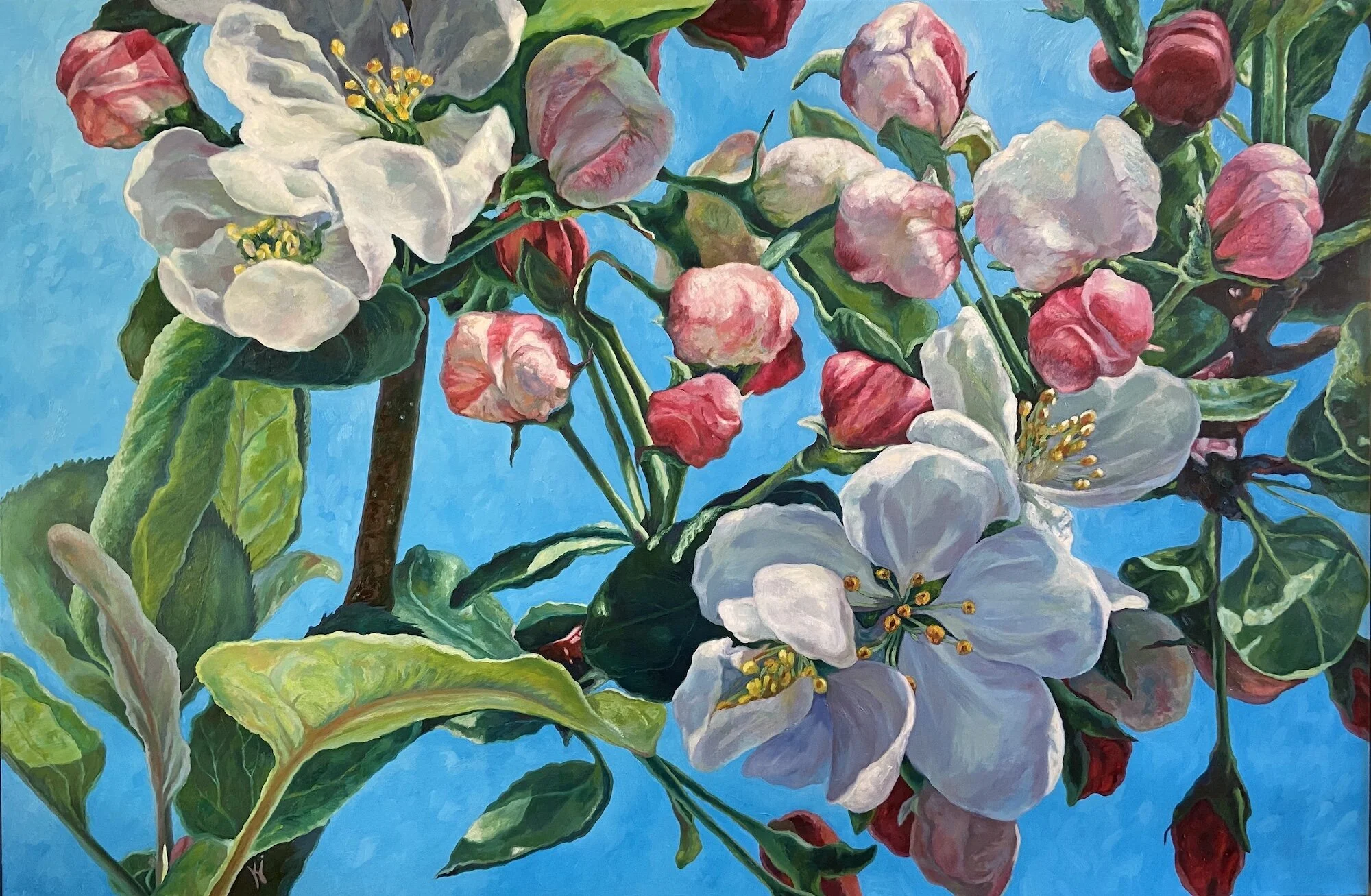 SHOP — Kristina Joy