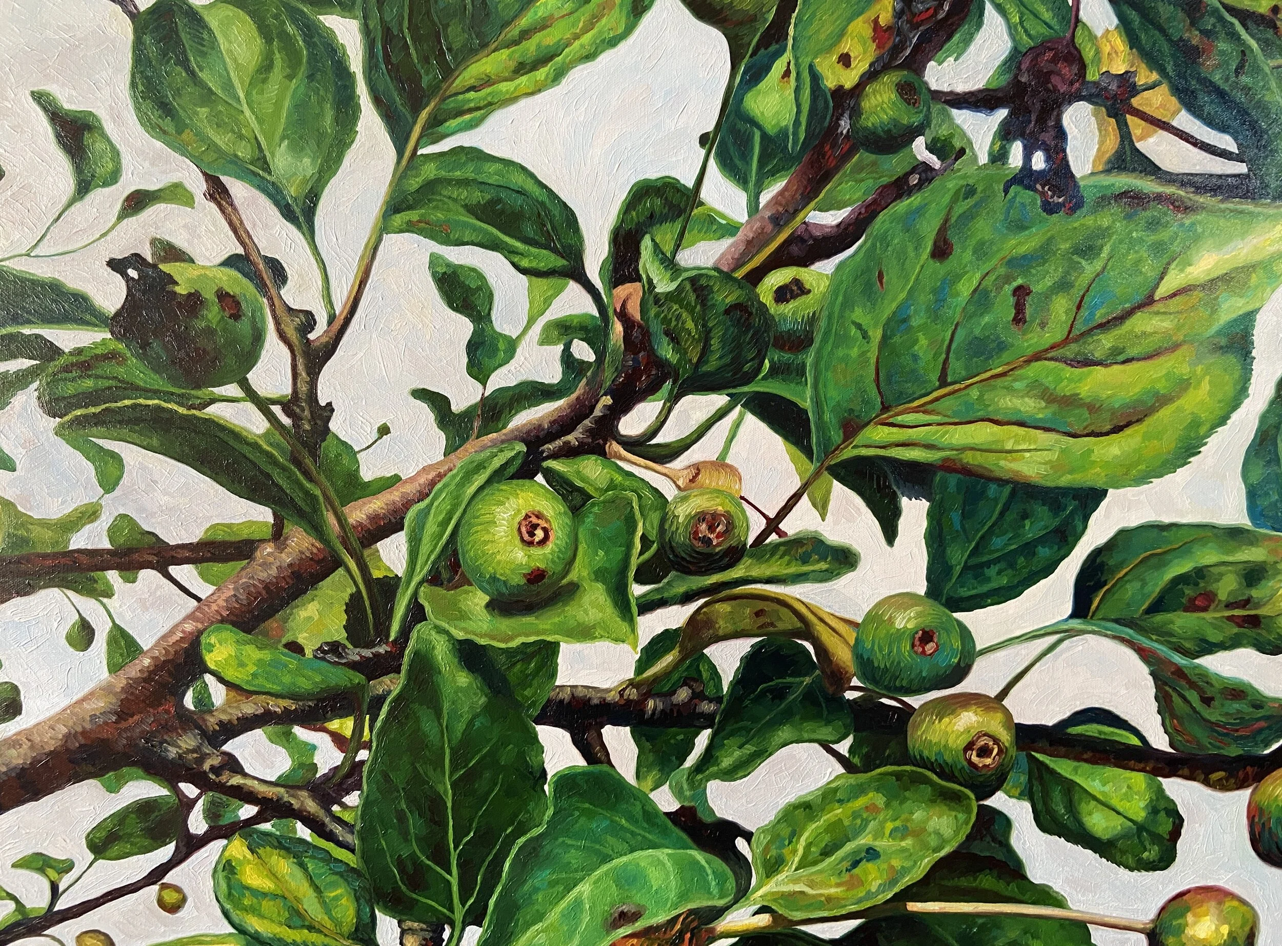 SHOP — Kristina Joy