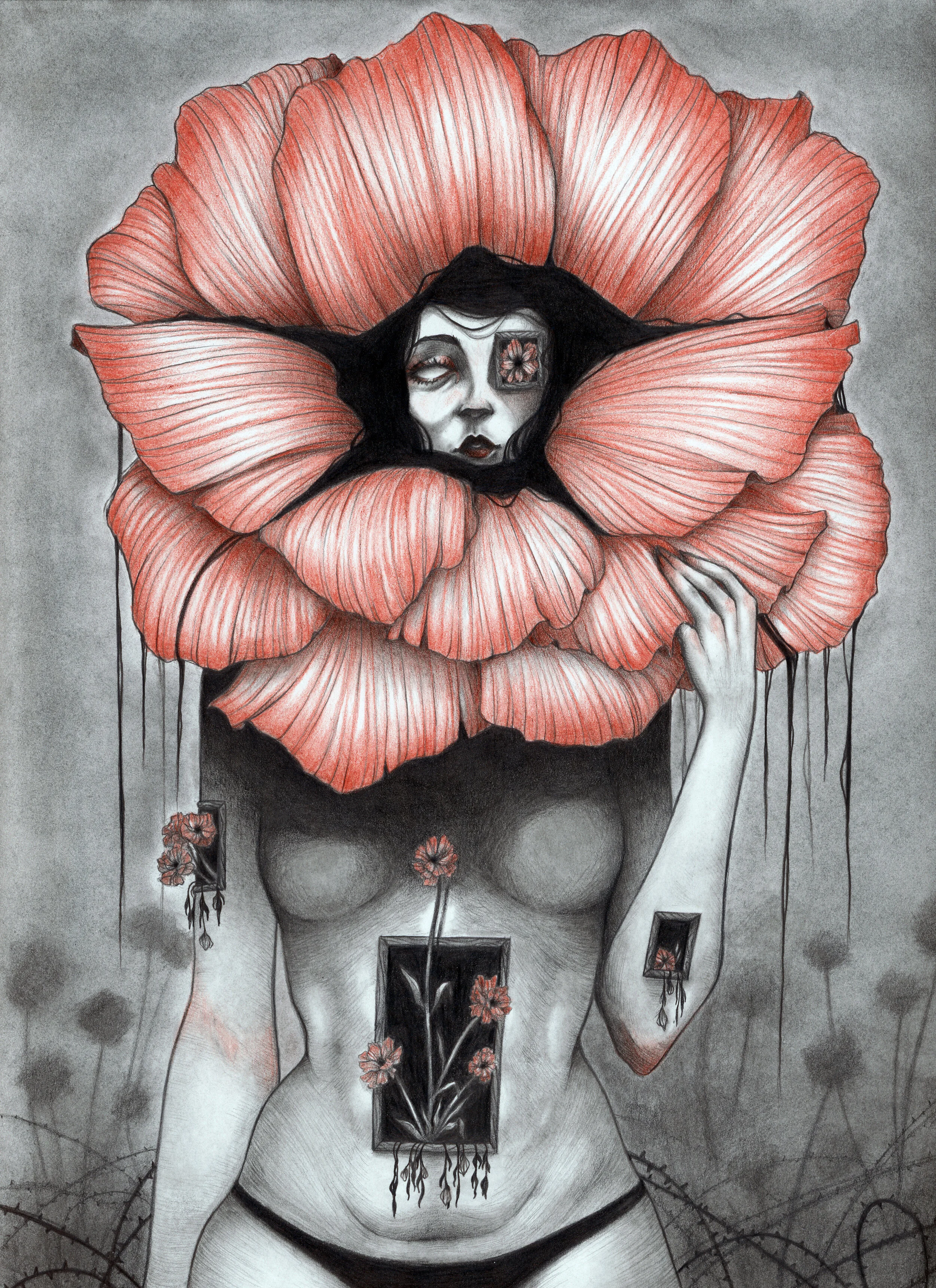 Growth(300dpi)086jpg.jpg