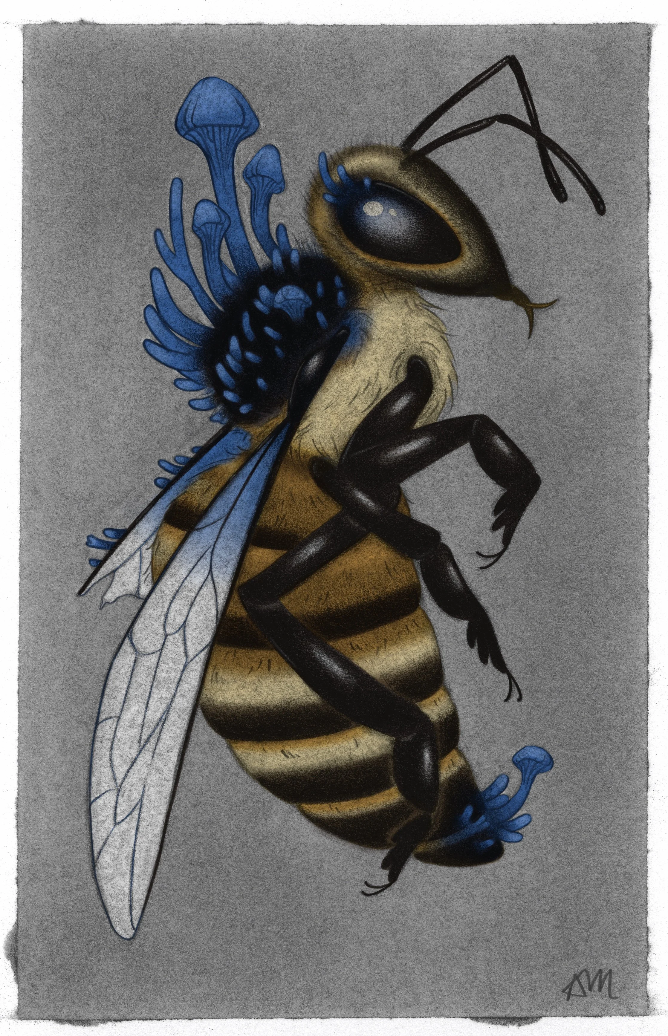 forwebsitebee.jpg