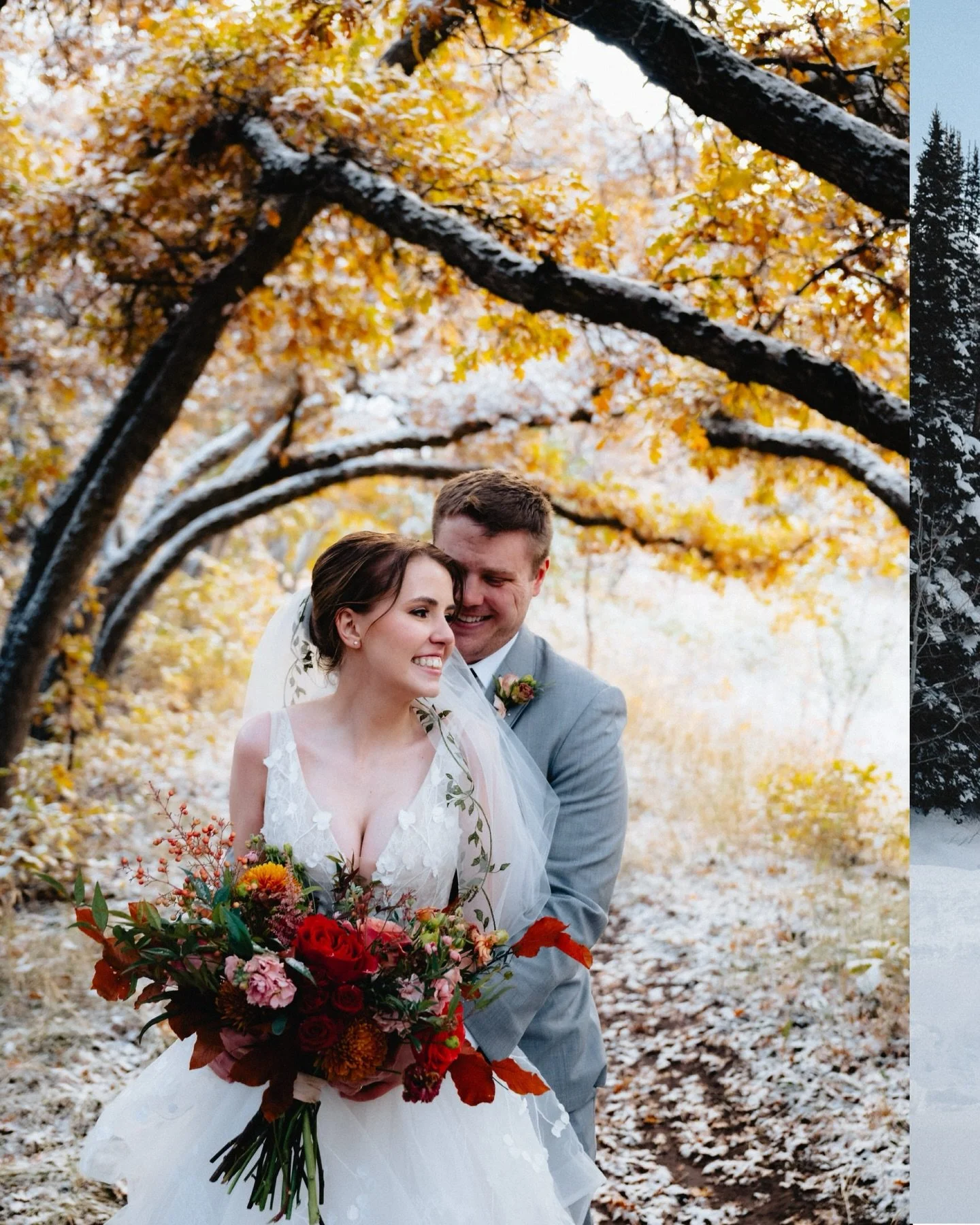 HOLY SHIT IT FINALLY SNOWED

So excited that we finally got some snow not just in the mountains but in the valley!!! To celebrate this apparently rare event here are some snow photos (snowtos?)

Here&rsquo;s also a few reasons why I actually like sho