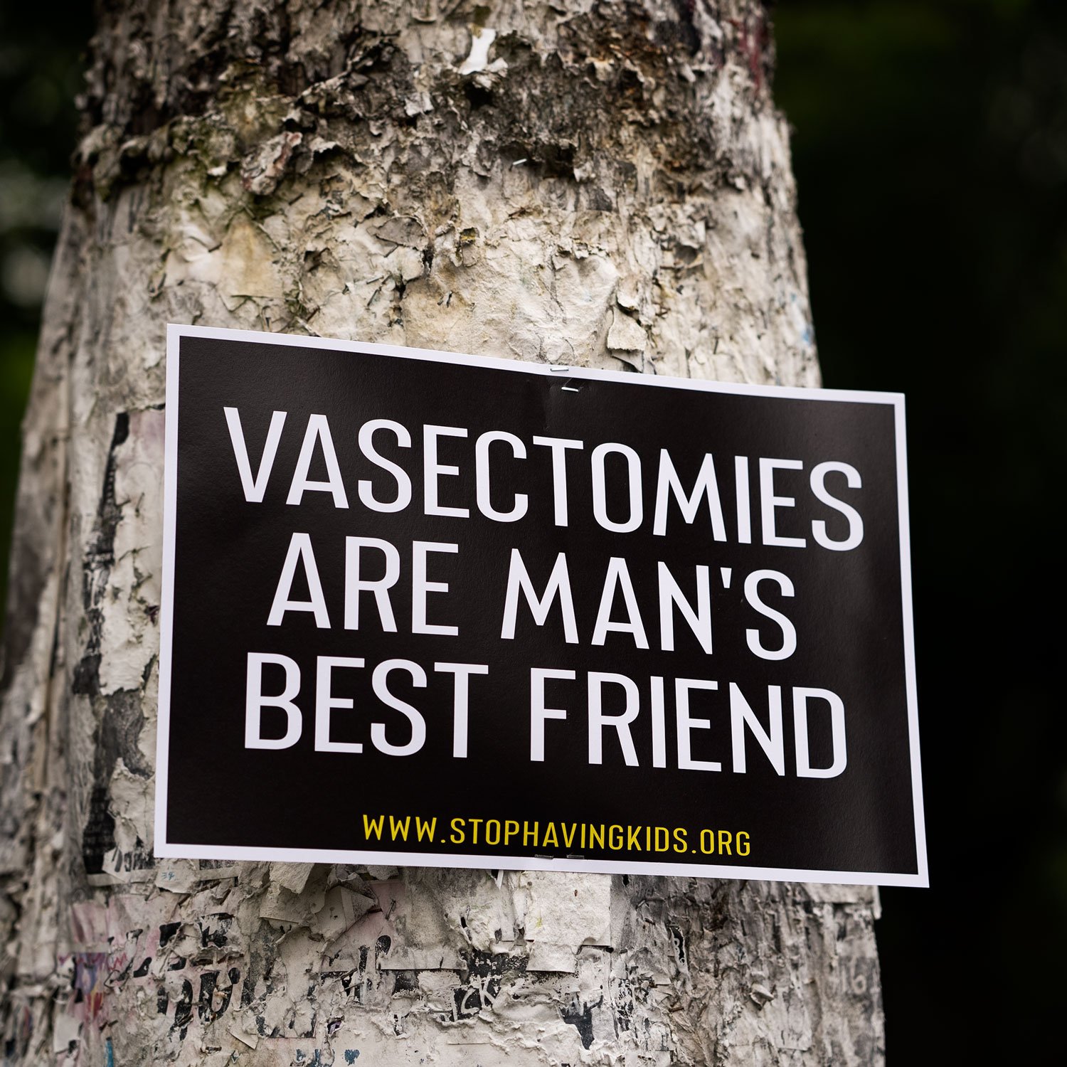 vasectomies-are-mans-best-friend.jpg