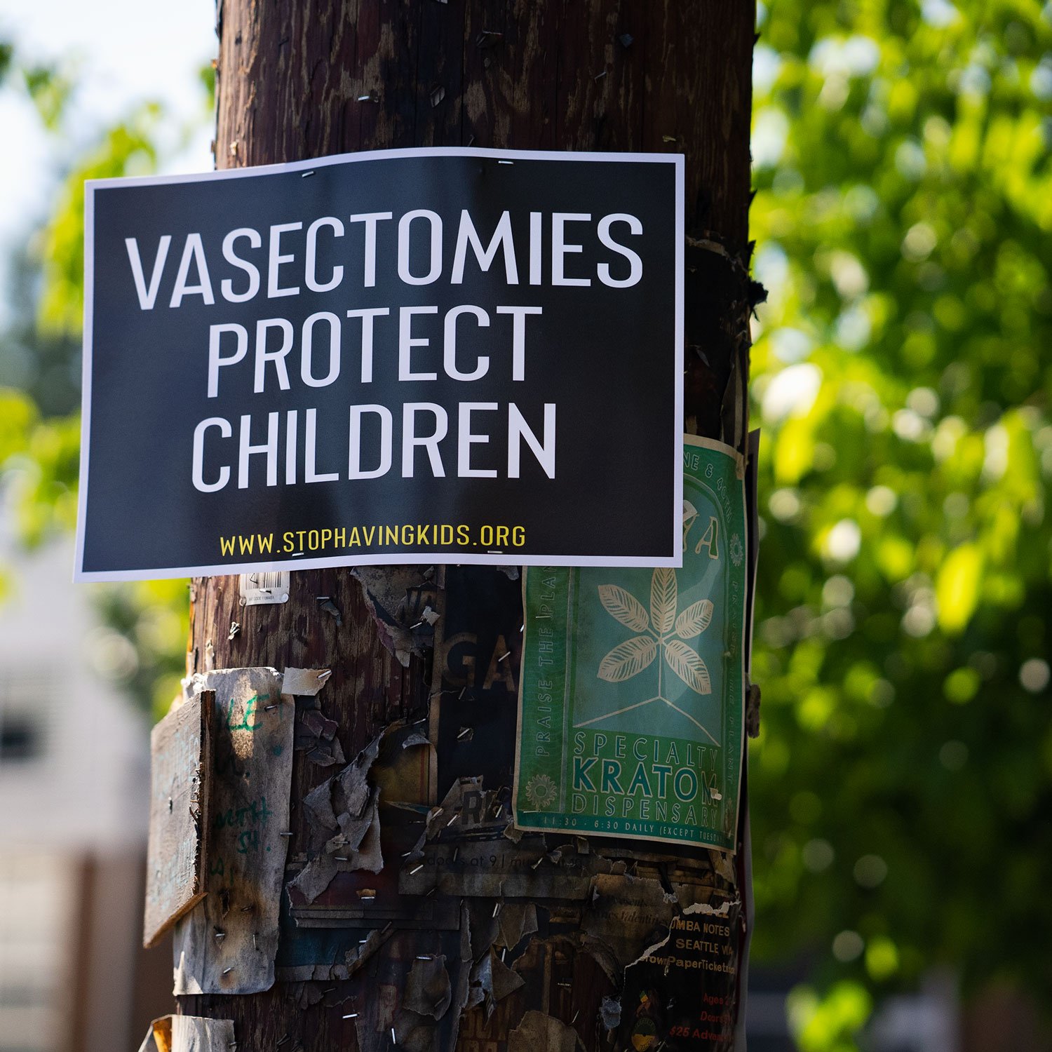 vasectomies-protect-children.jpg