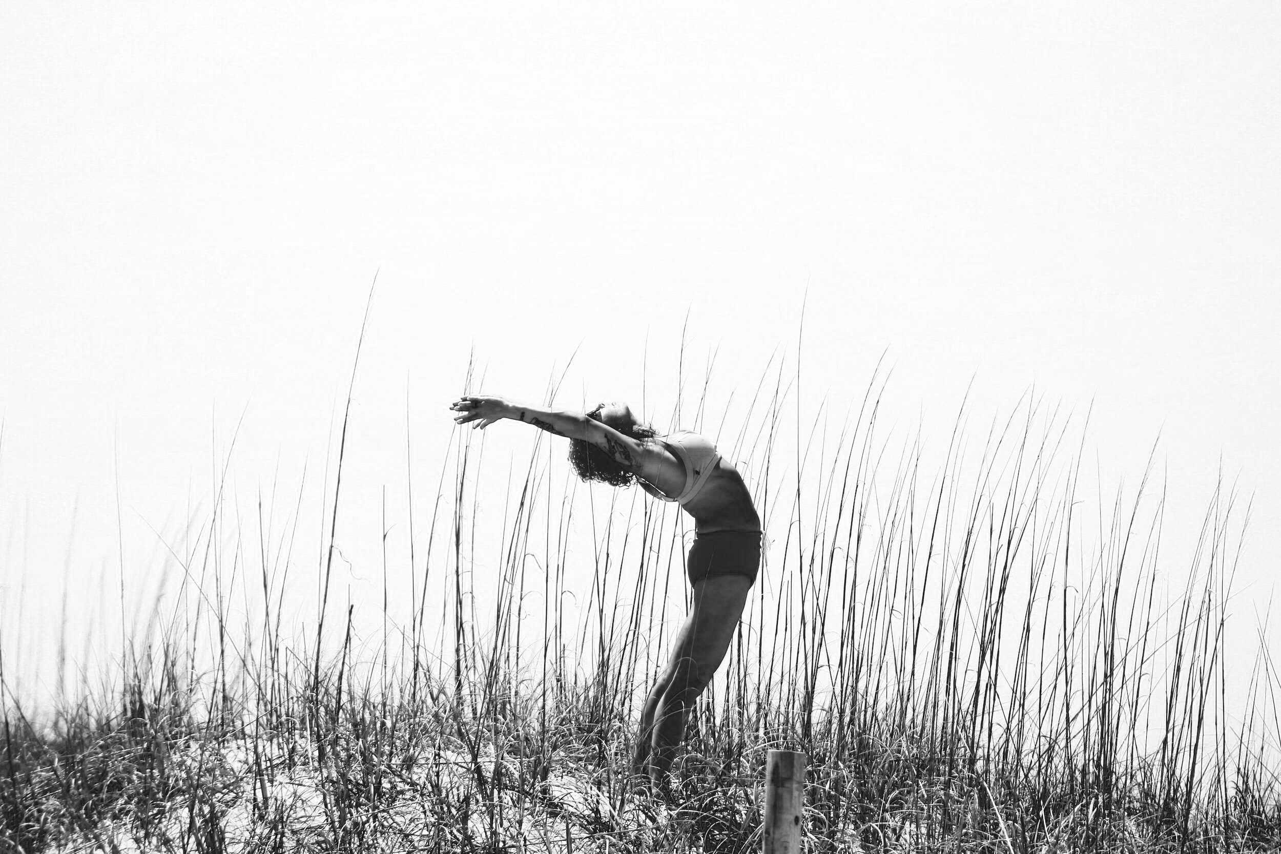 Asha Yoga & Wellness Yoga in Gig Harbor, WA & surrounding areas