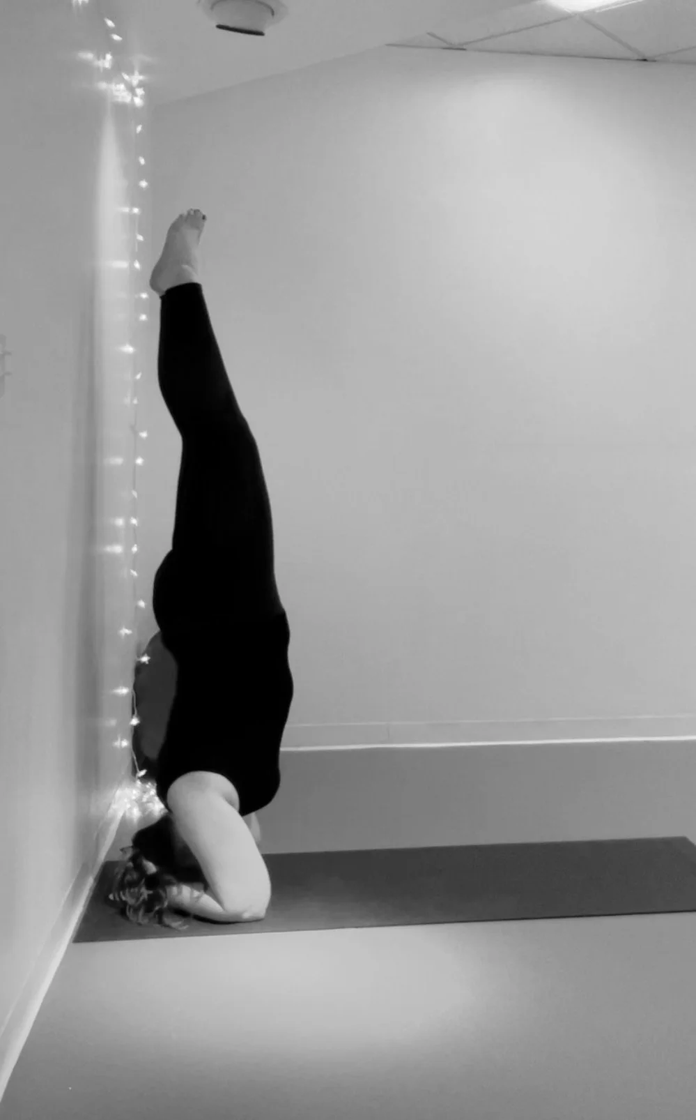 Asha Yoga & Wellness Yoga in Gig Harbor, WA & surrounding areas