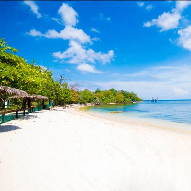 Asha Yoga & Wellness Yoga in Gig Harbor, WA & surrounding areas