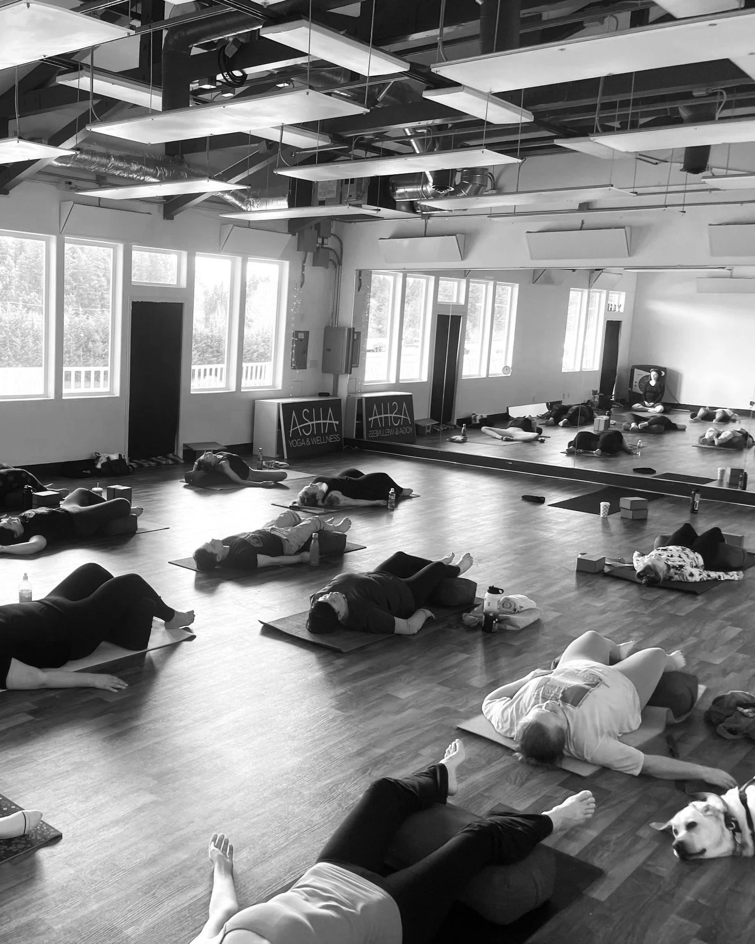 Asha Yoga & Wellness Yoga in Gig Harbor, WA & surrounding areas