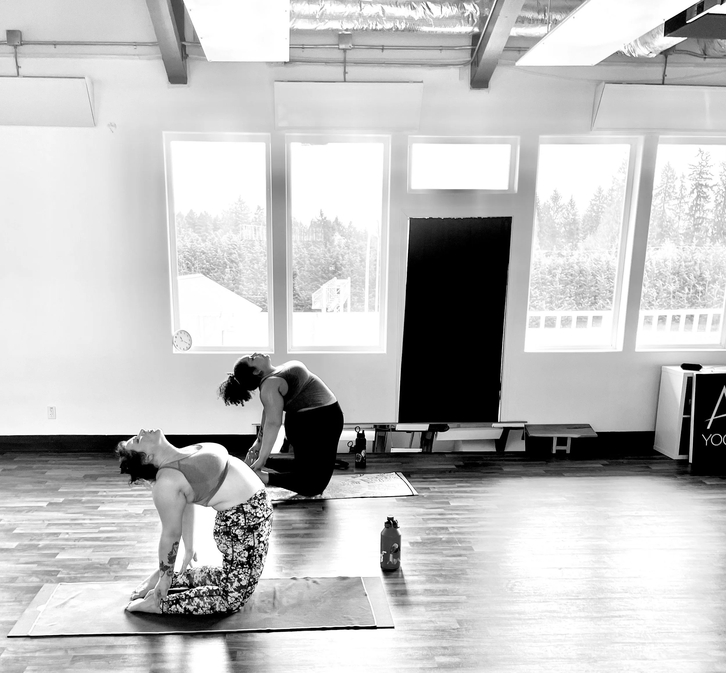 Asha Yoga & Wellness Yoga in Gig Harbor, WA & surrounding areas
