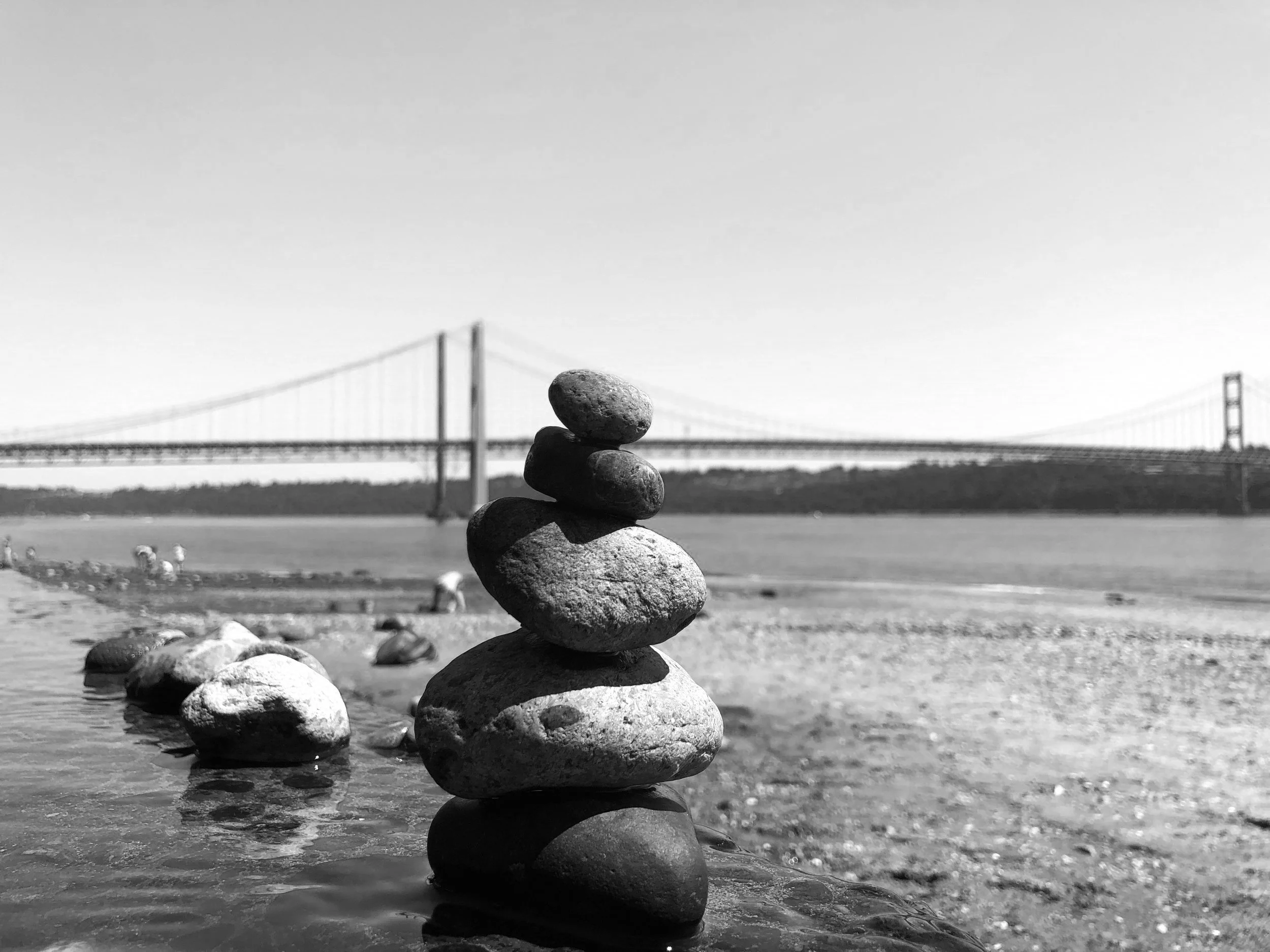 Asha Yoga & Wellness Yoga in Gig Harbor, WA & surrounding areas