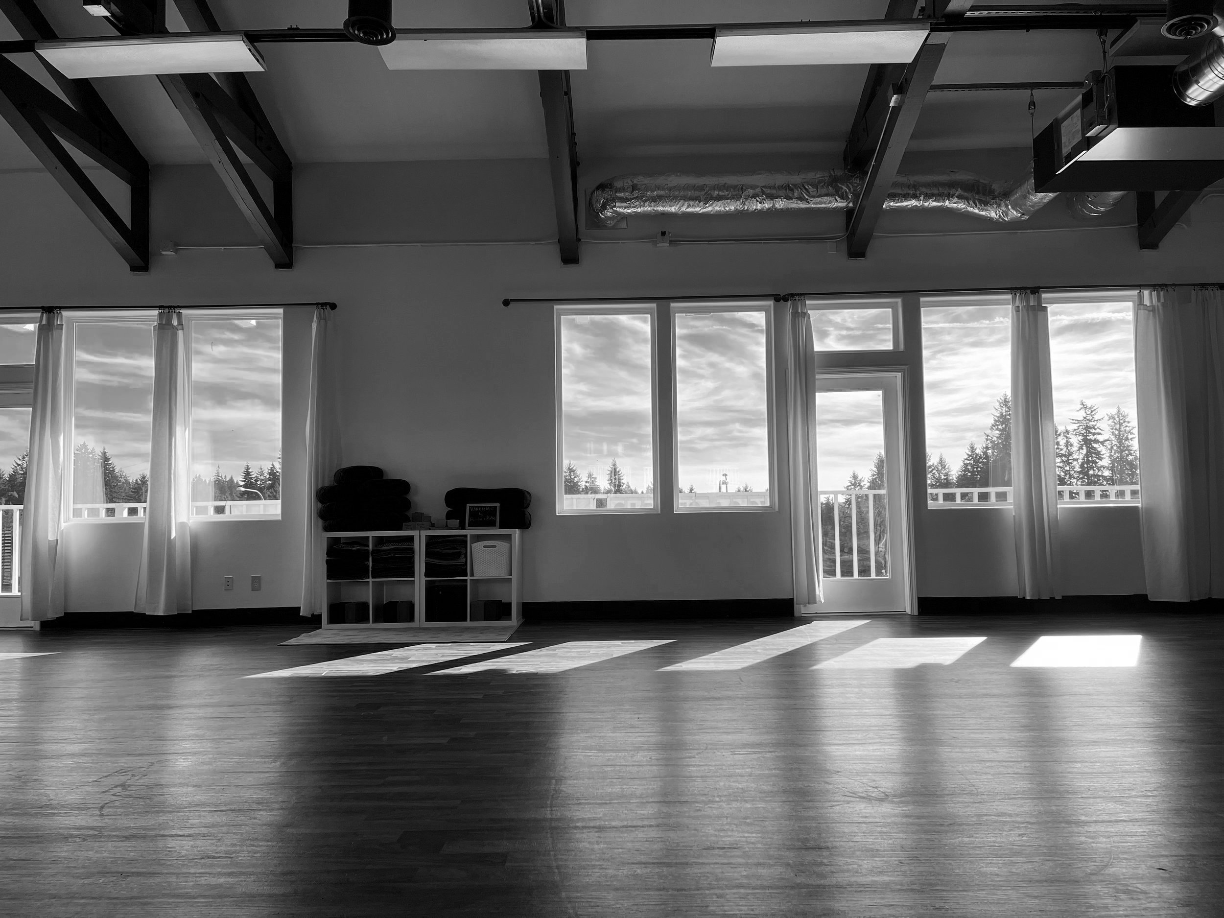 Asha Yoga & Wellness Yoga in Gig Harbor, WA & surrounding areas