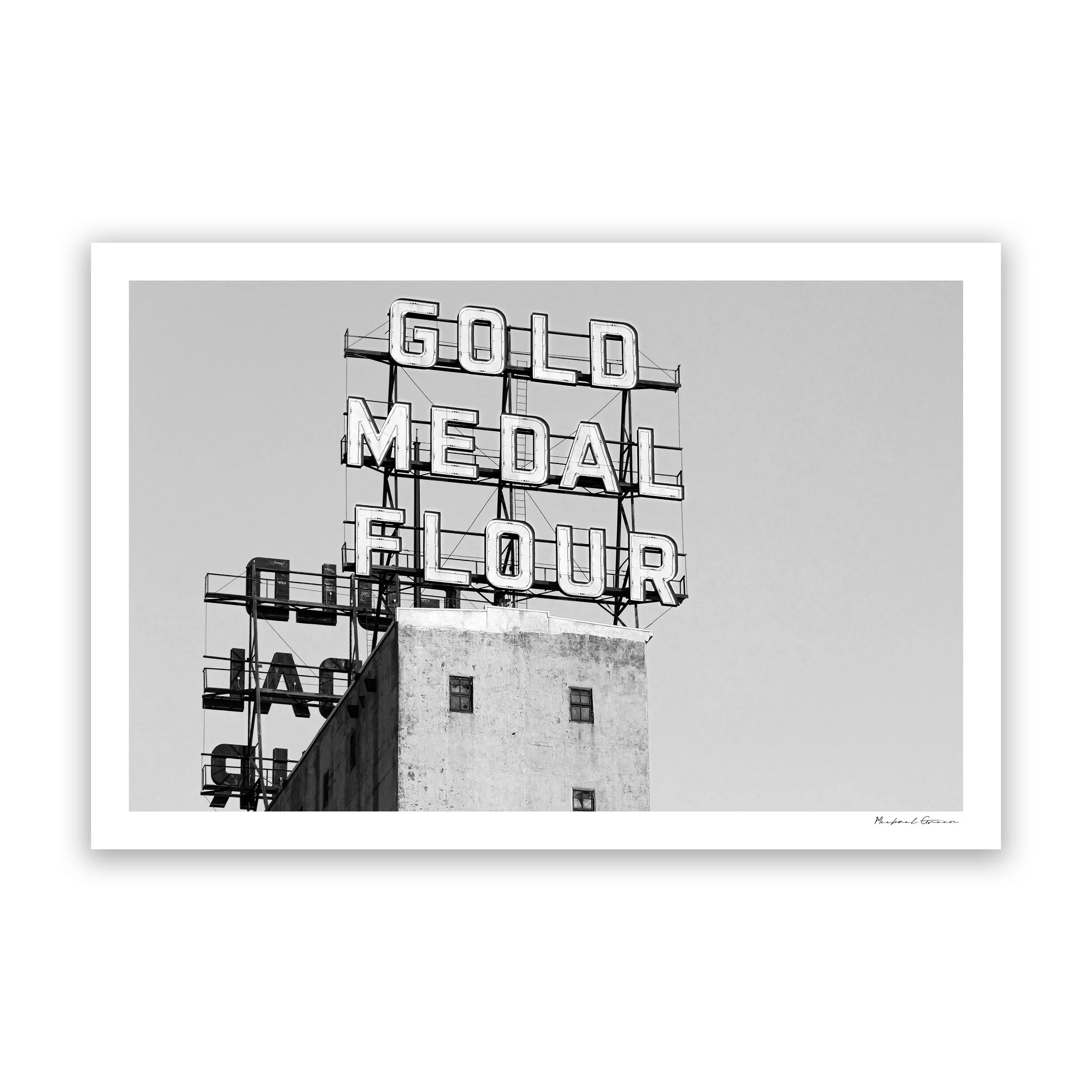 GOLD MEDAL FLOUR-DS.jpg