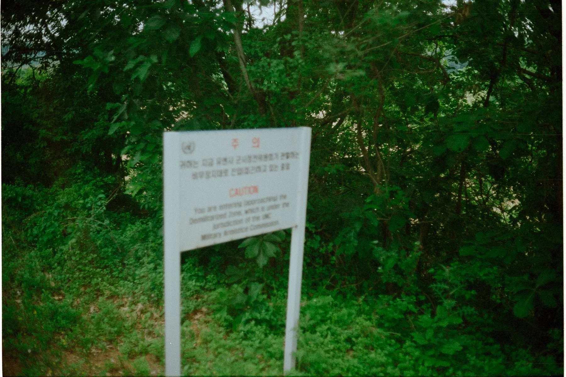 Korea - 35mm101.jpg
