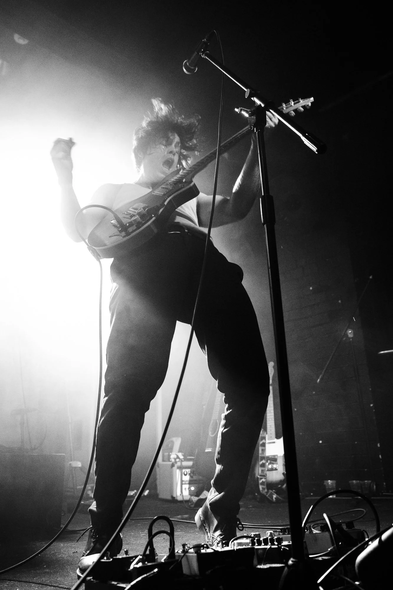 Matt Waddo Sophisticated Dingo 18.8.23-9255.jpg