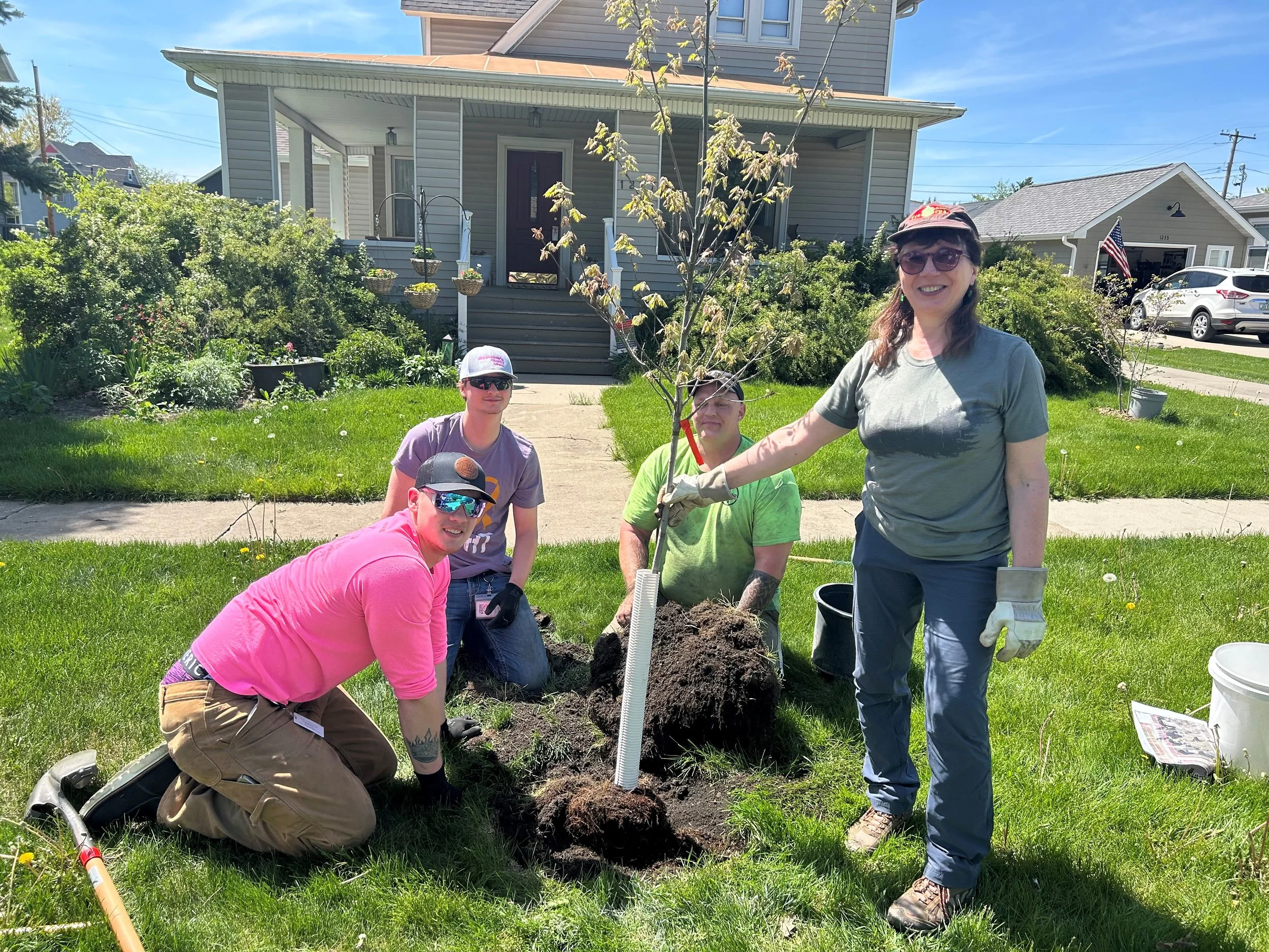 Fall Tree Distribution