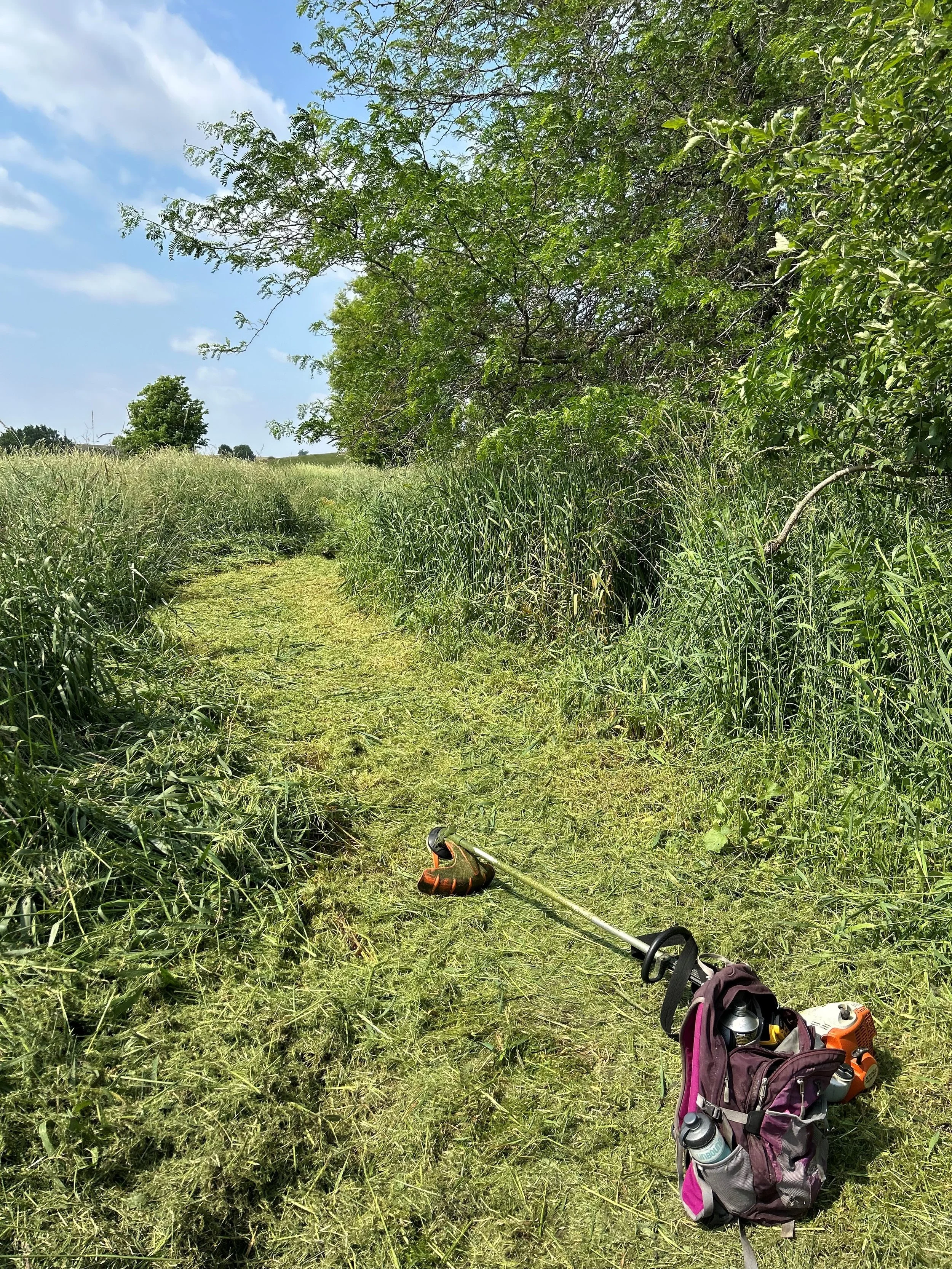 Maintenance of Soft Trail Volunteering