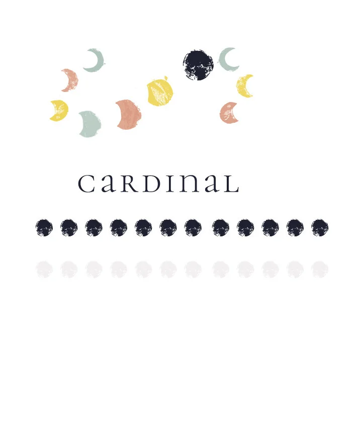 Additional Branding Element Exploration 