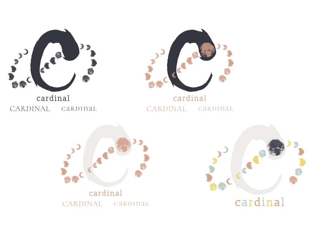 Further Logo and Color Exploration