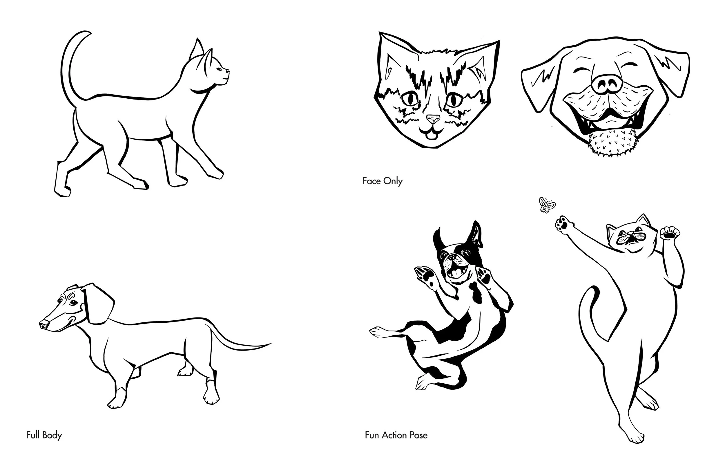 A commissioned set of six spot illustrations created as part of a rebrand for a local veterinary hospital. The goal was to support a friendlier and more approachable identity system across materials.