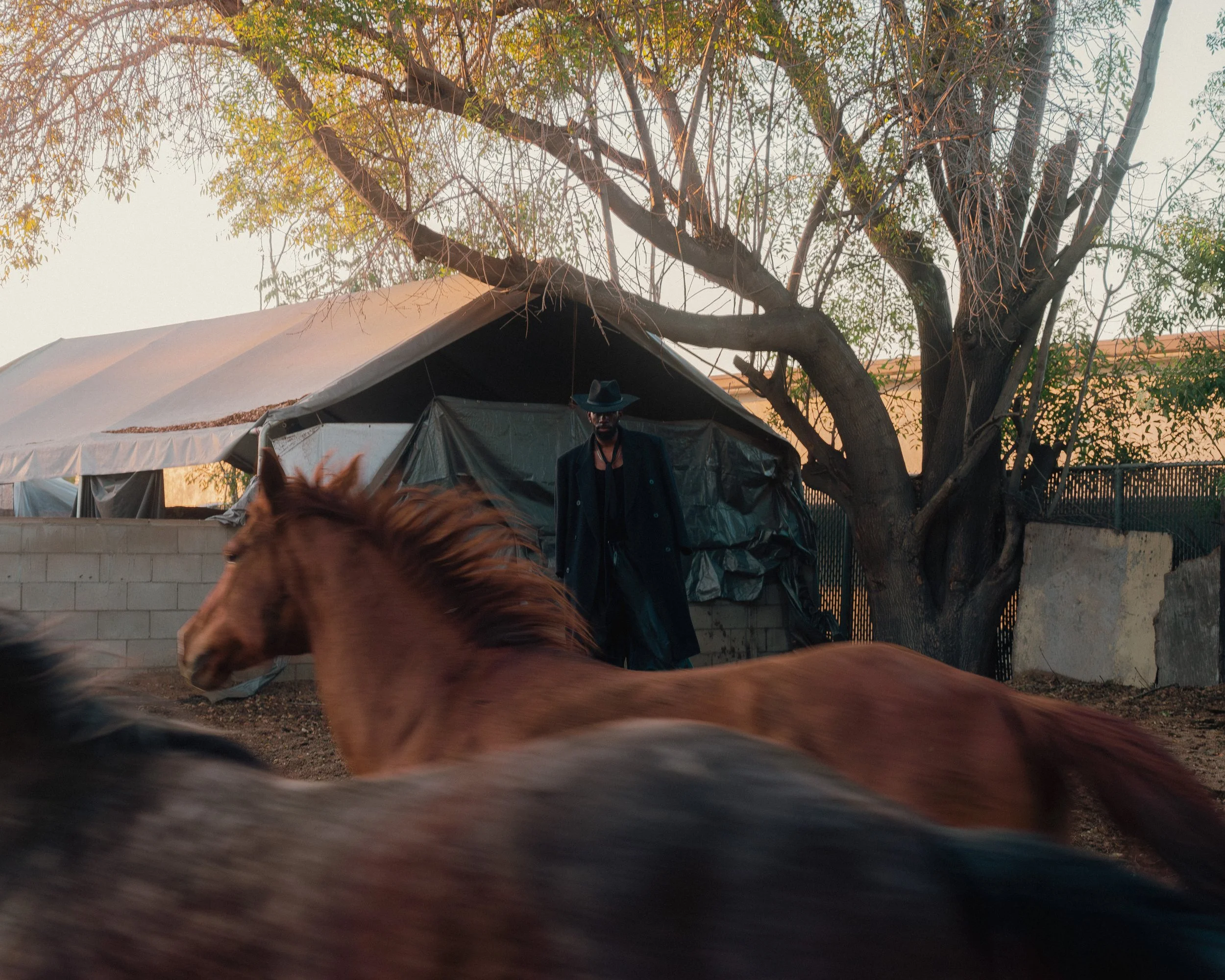 Rodeo Romantique - Digital Medium Format