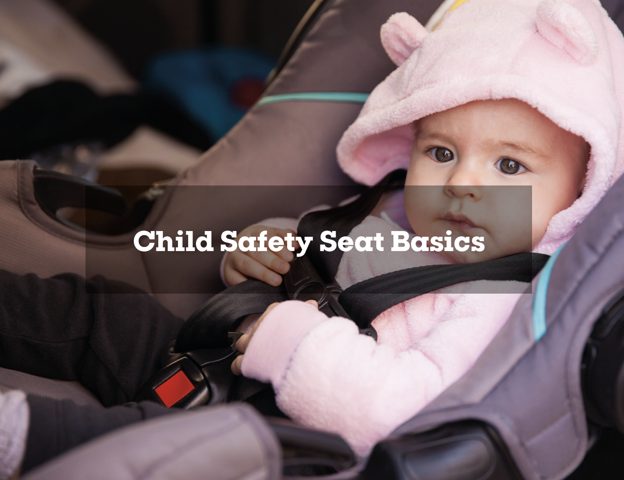 Child Safety Seat Basics.png