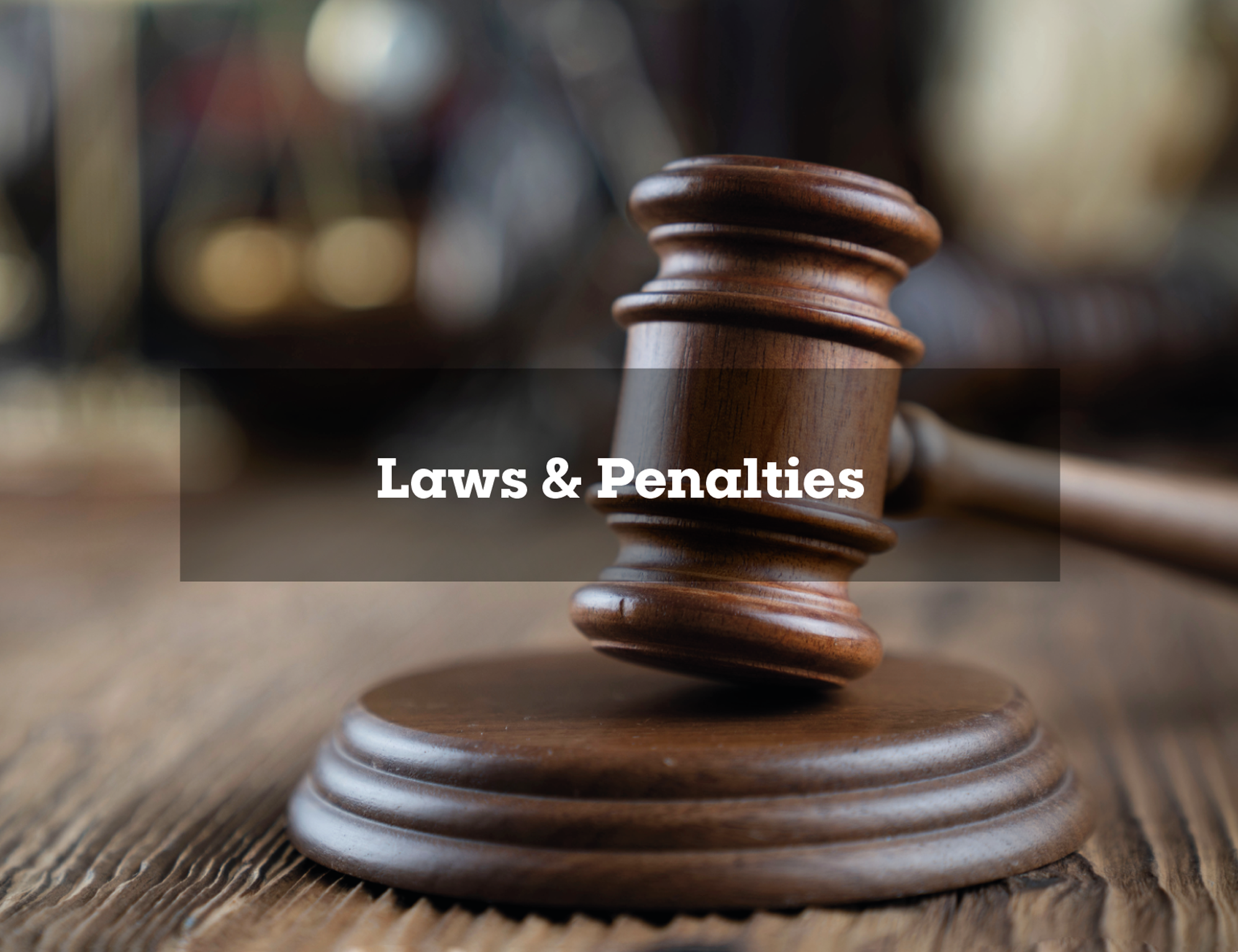 Laws&Penalties.png