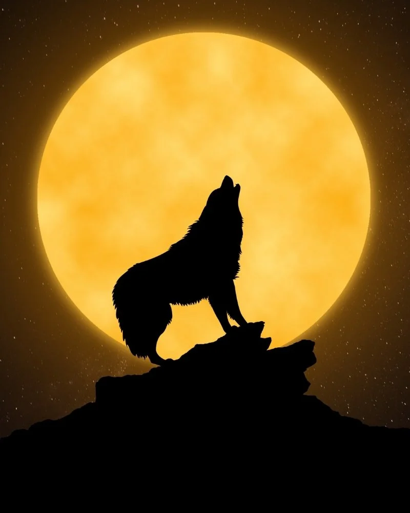 Gratitude Grows Awareness: Which Wolf Do You Feed This Full Moon?