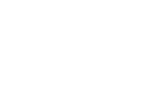 Hyundai.png