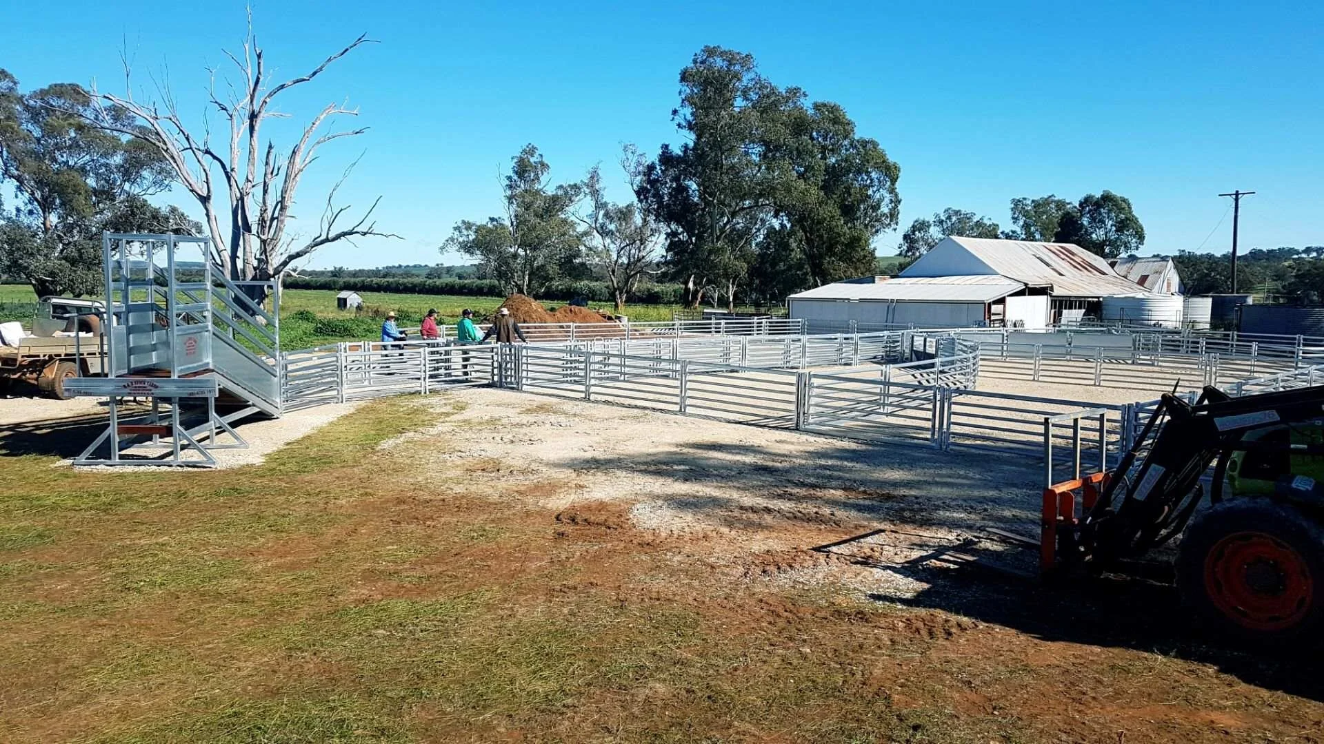 Cattle & Sheep Yard Plans — M & M Stockyards