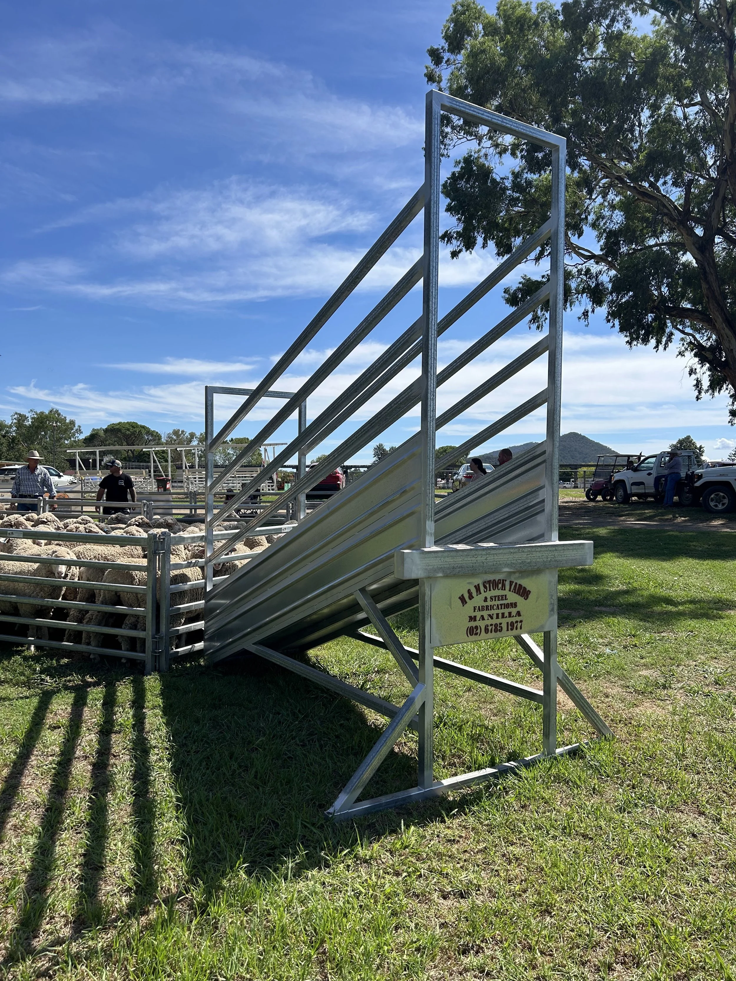 3.0m steel floor ramp with sheeted sides (sheep)