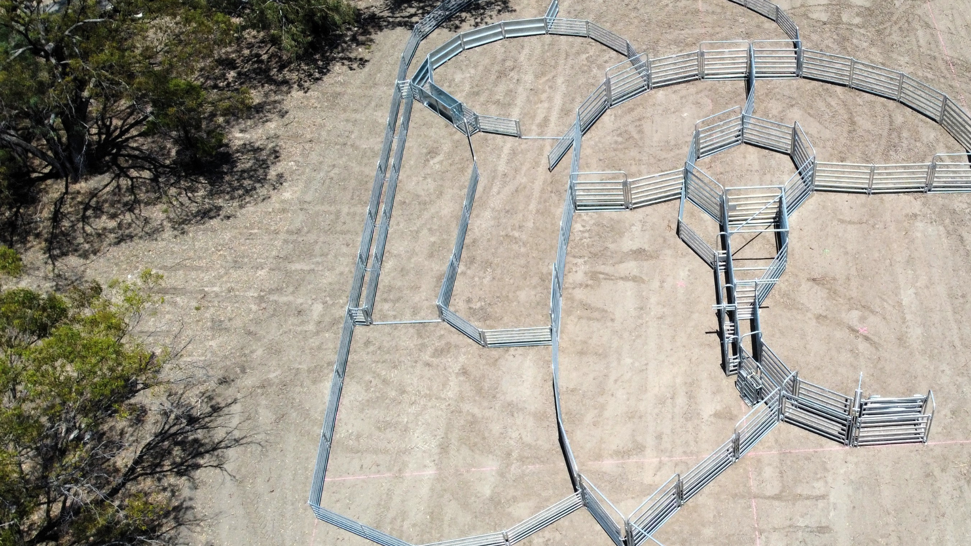 Clemson - Cropped Edit (1).png