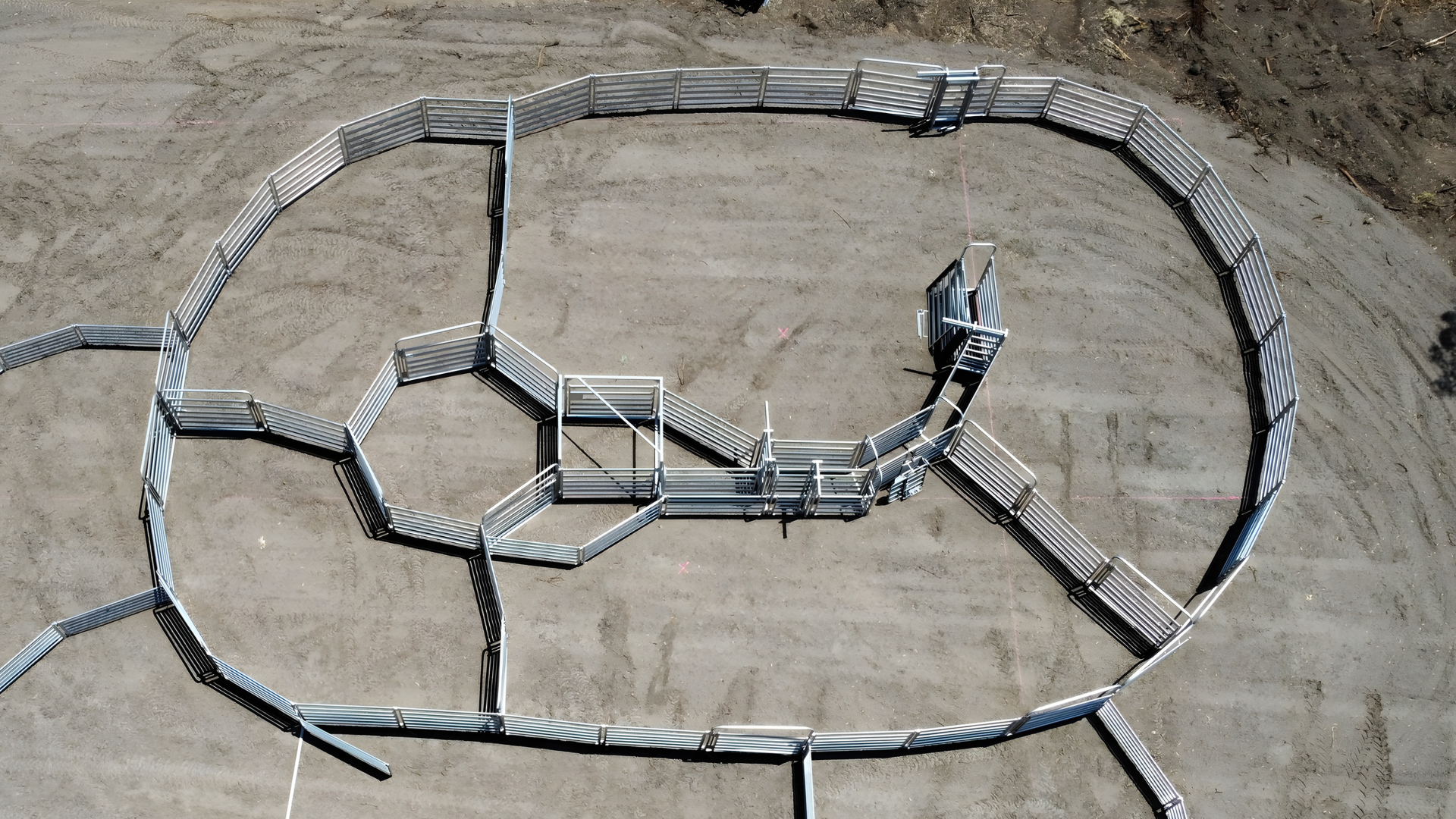 Clemson - Cropped Edit.png