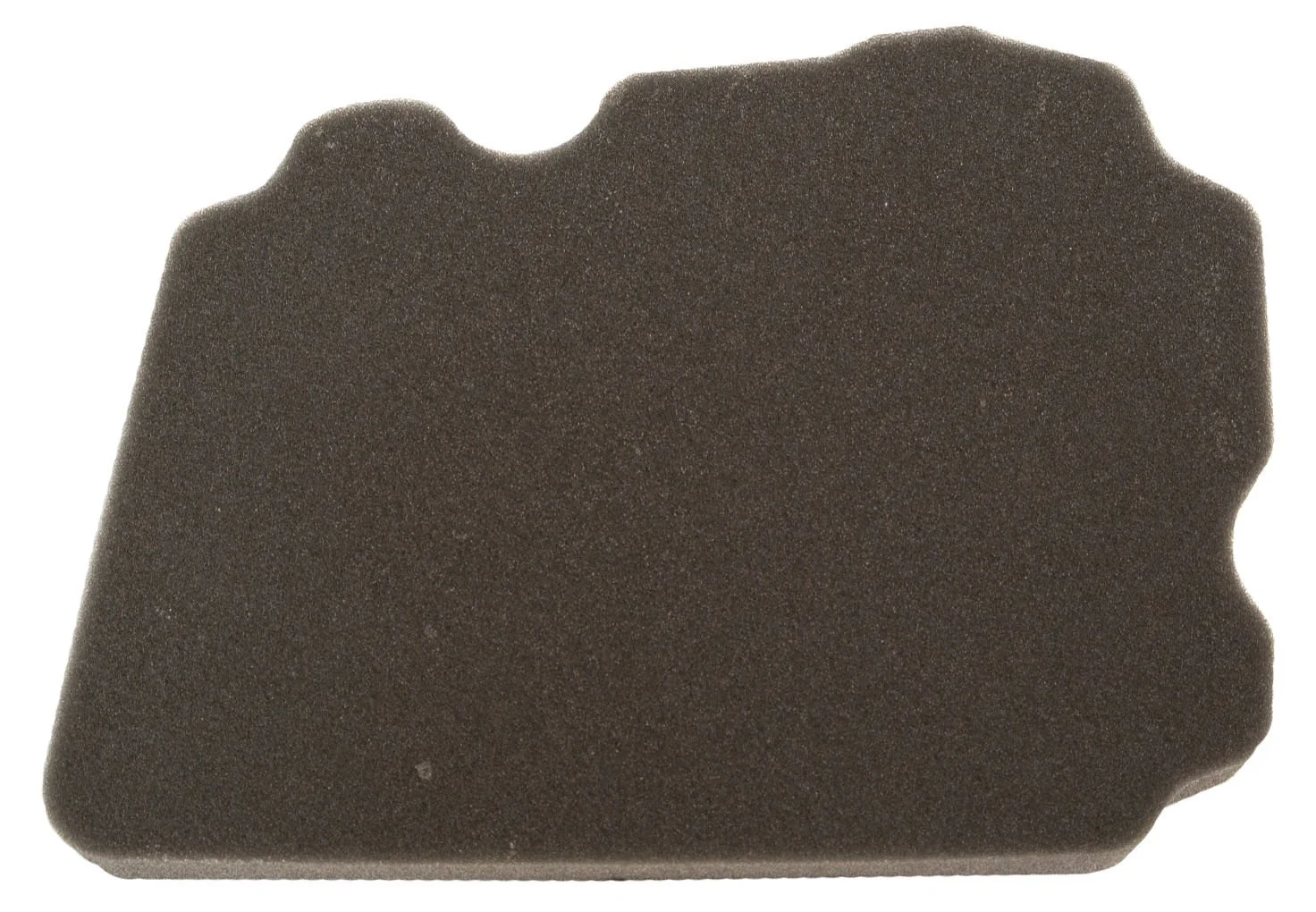 4177-5cc9f165bcfa9.jpg