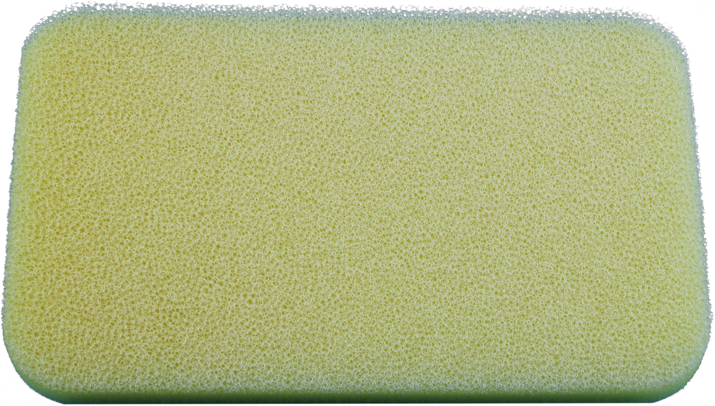 cf87-679a3ed940999.png