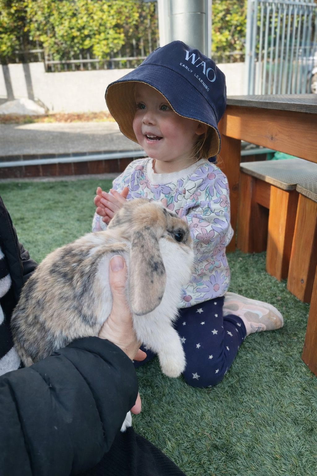 Balgowlah Early Learning Calm and  Nurturing