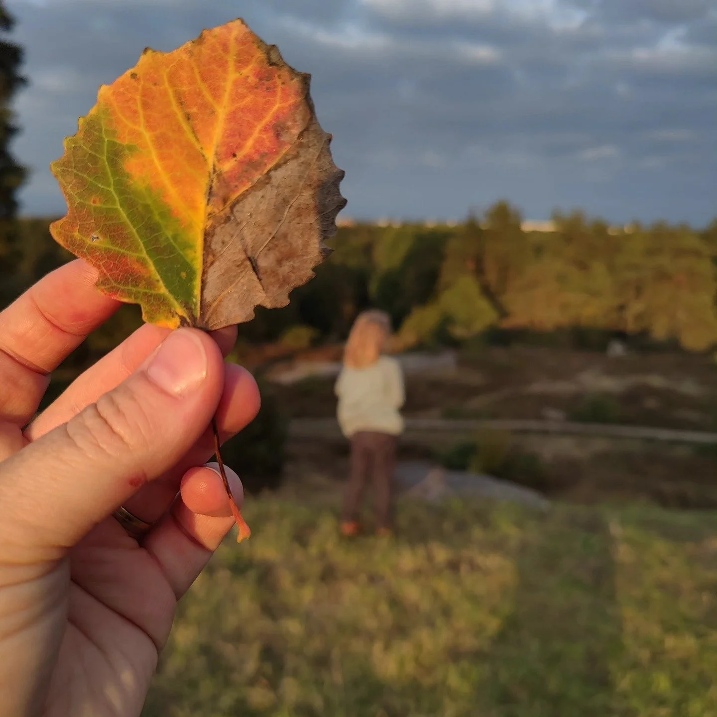 Min kloka son.

Imorse va han tr&ouml;tt. Han va tr&ouml;tt och ville inte g&aring; till skolan. Han sa att det va jobbigt att va i skolan. Jag f&ouml;rs&ouml;kte utforskande fr&aring;ga vad som va jobbigt. Hur han upplever sin v&auml;rld. Han svarad