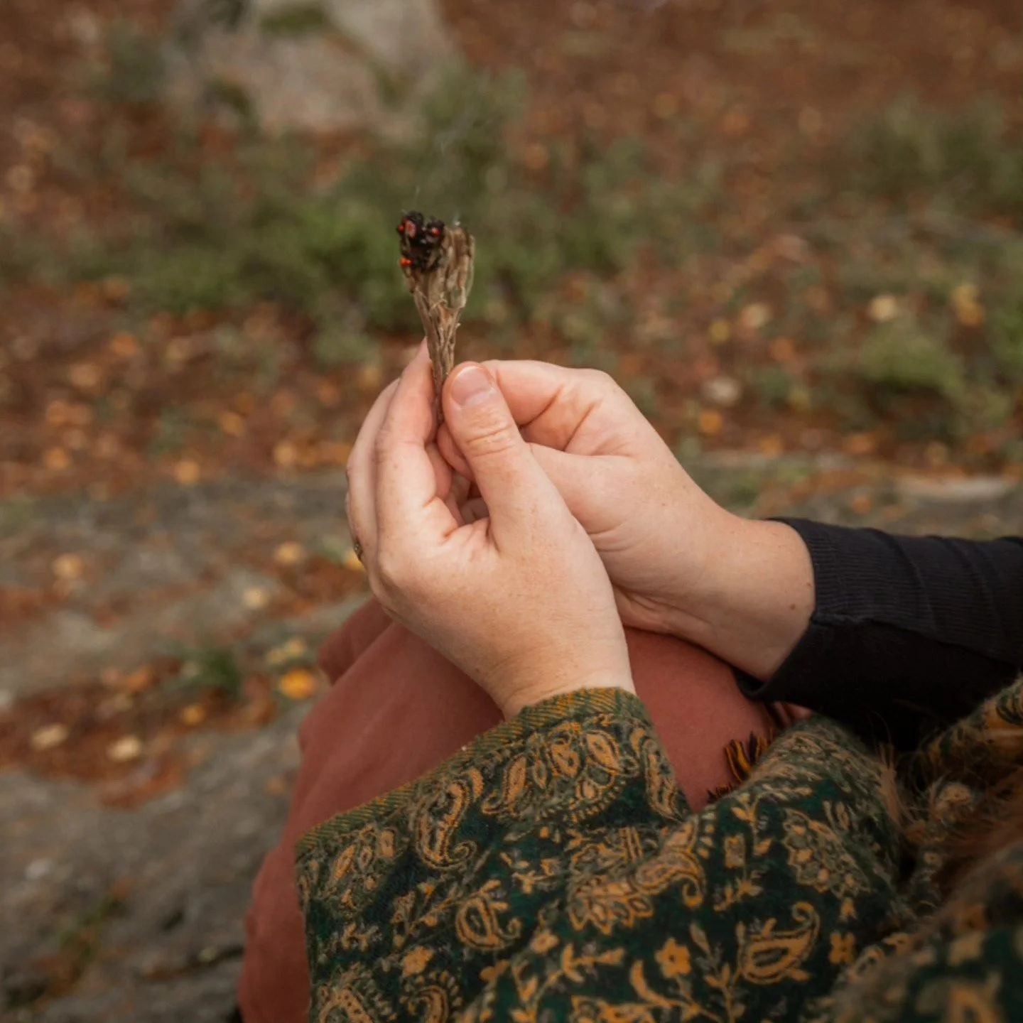 🌀 F&ouml;rsta -vilda- trimestern 🌀

Dag 30 p&aring; min cykel visste jag att jag va gravid. Jag visste det s&aring; intuitivt att jag inte k&auml;nde behov av att ta ett graviditetstest. Jag ville bara k&auml;nna inn&aring;t den h&auml;r g&aring;ng