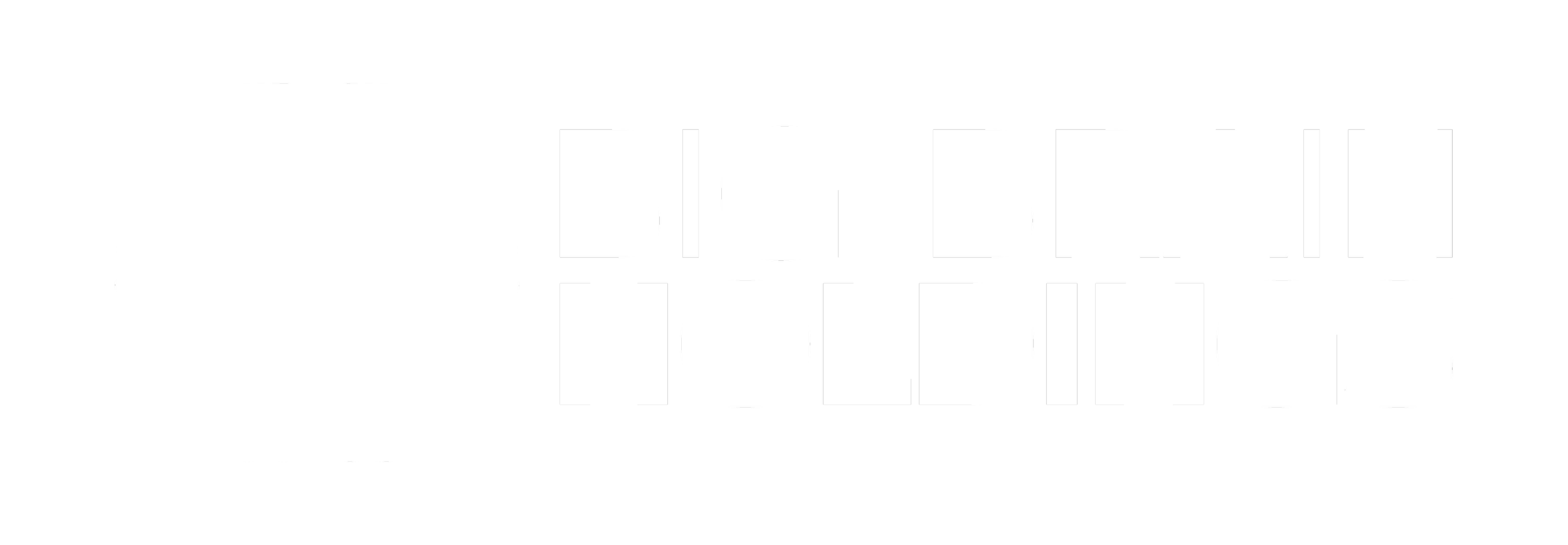 big brain holdings white.png