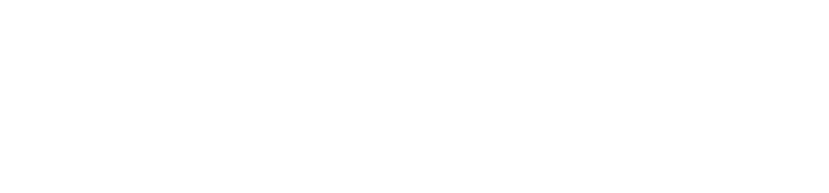 trust wallet white.png