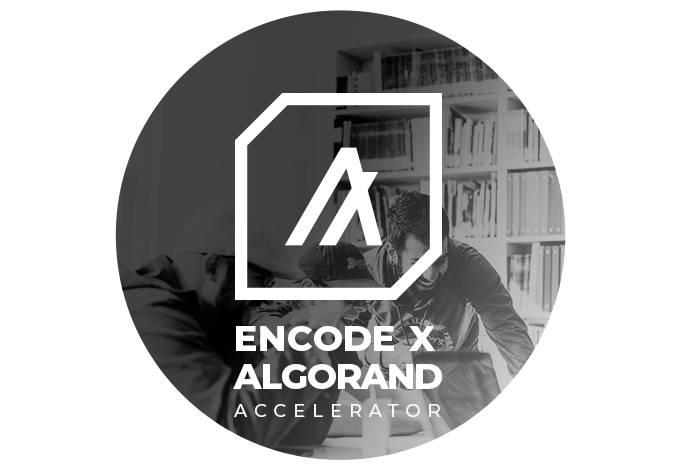 Encode x Algorand Accelerator