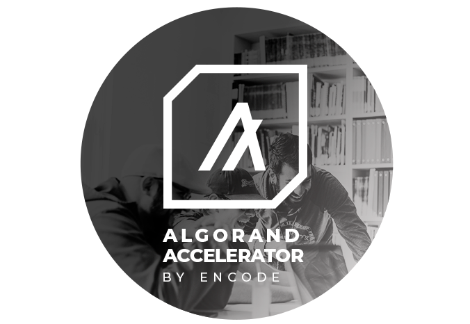 Encode x Algorand Accelerator