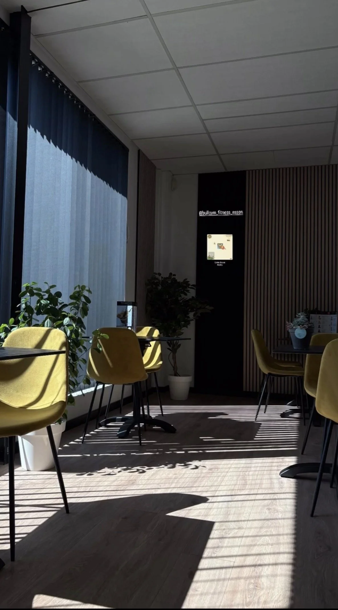 Interieur van een café of restaurant met gele stoelen, planten, grote ramen met zonneschaduw, en een muur met verticale houten panelen.