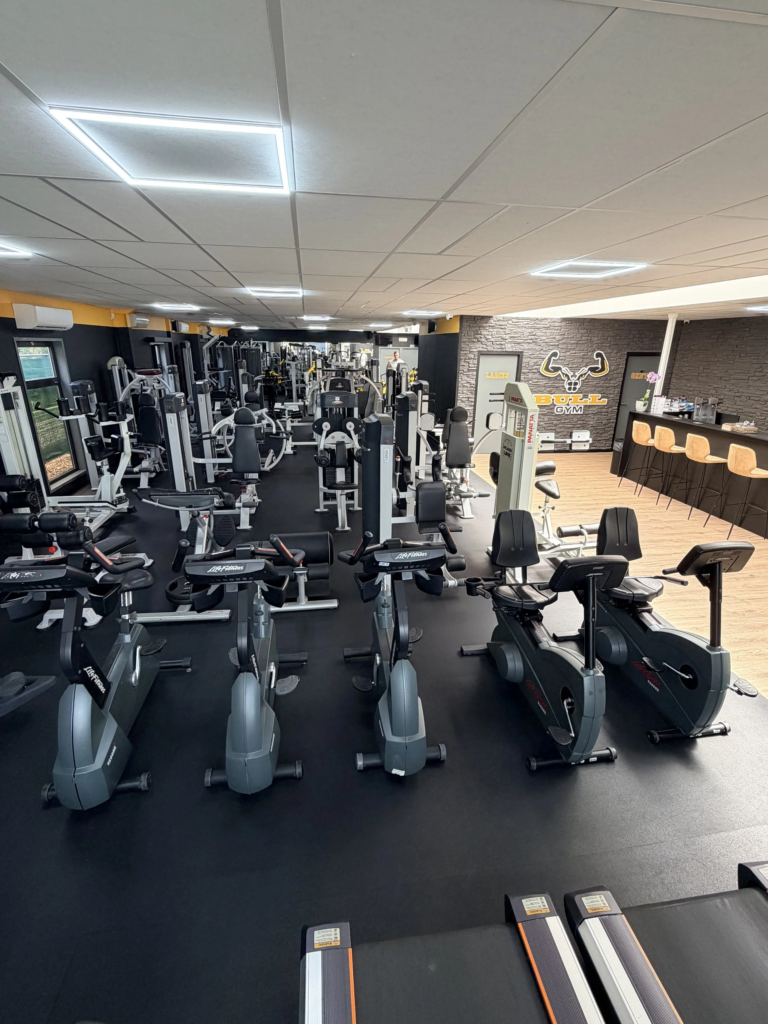 sportschool essen bull gym Fitness